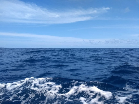 Rota Tropical-莫罗圣保罗必去景点