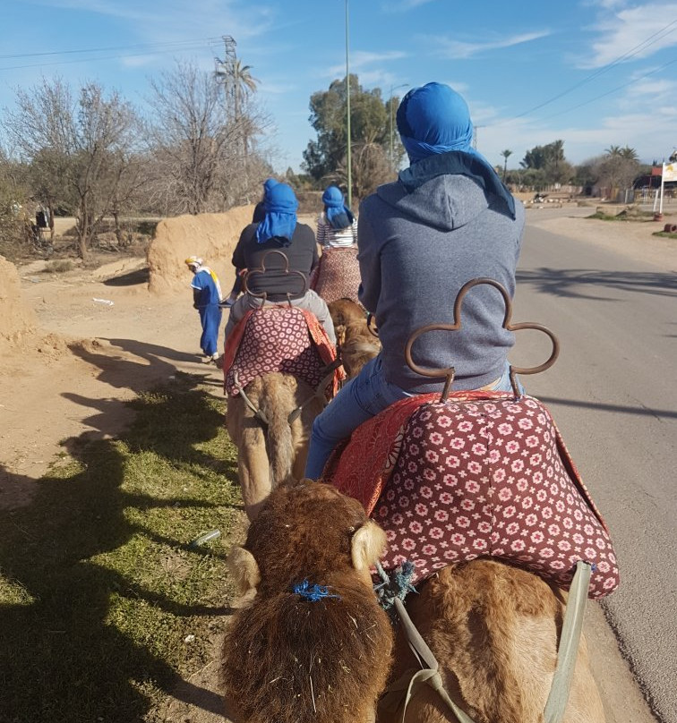 Locaquad- Day Tours-马拉喀什必去景点