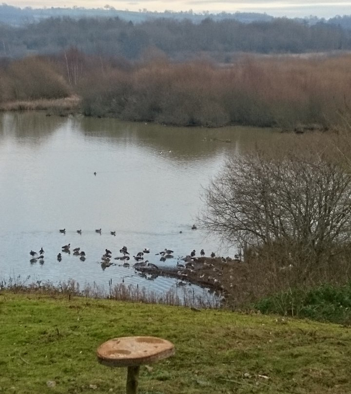 Marfield Wetlands Nature Reserve景点图片