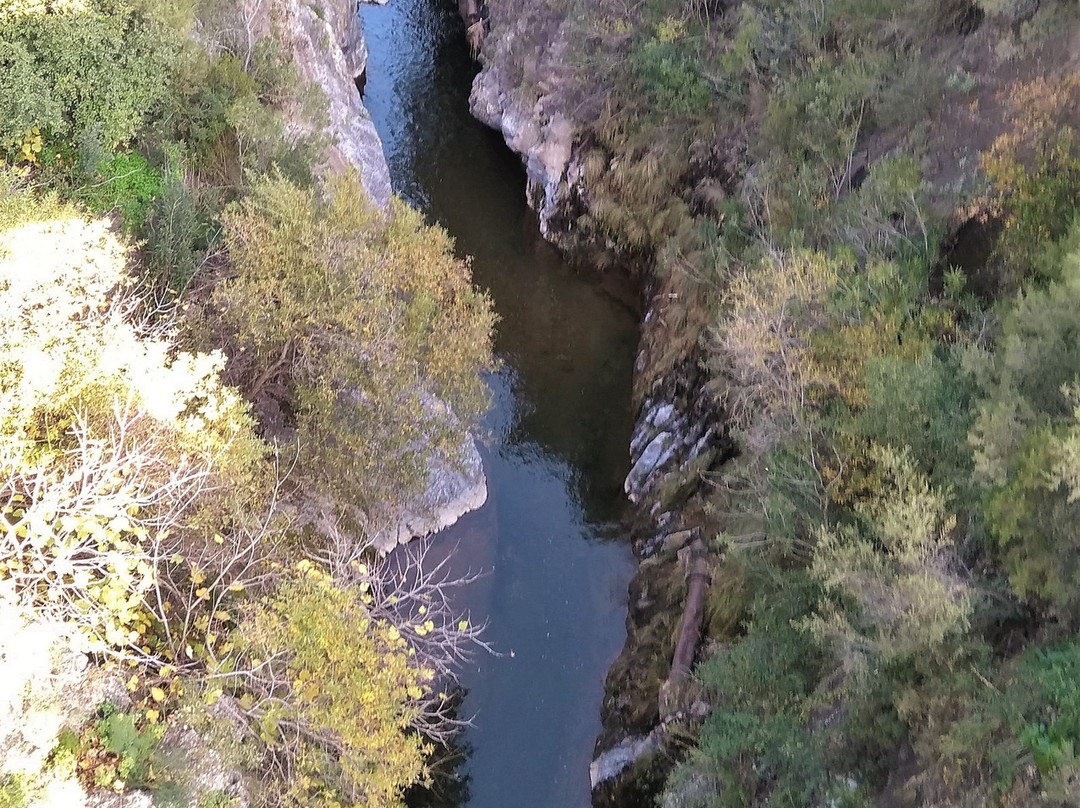 Canyon Of The Angosturas景点图片