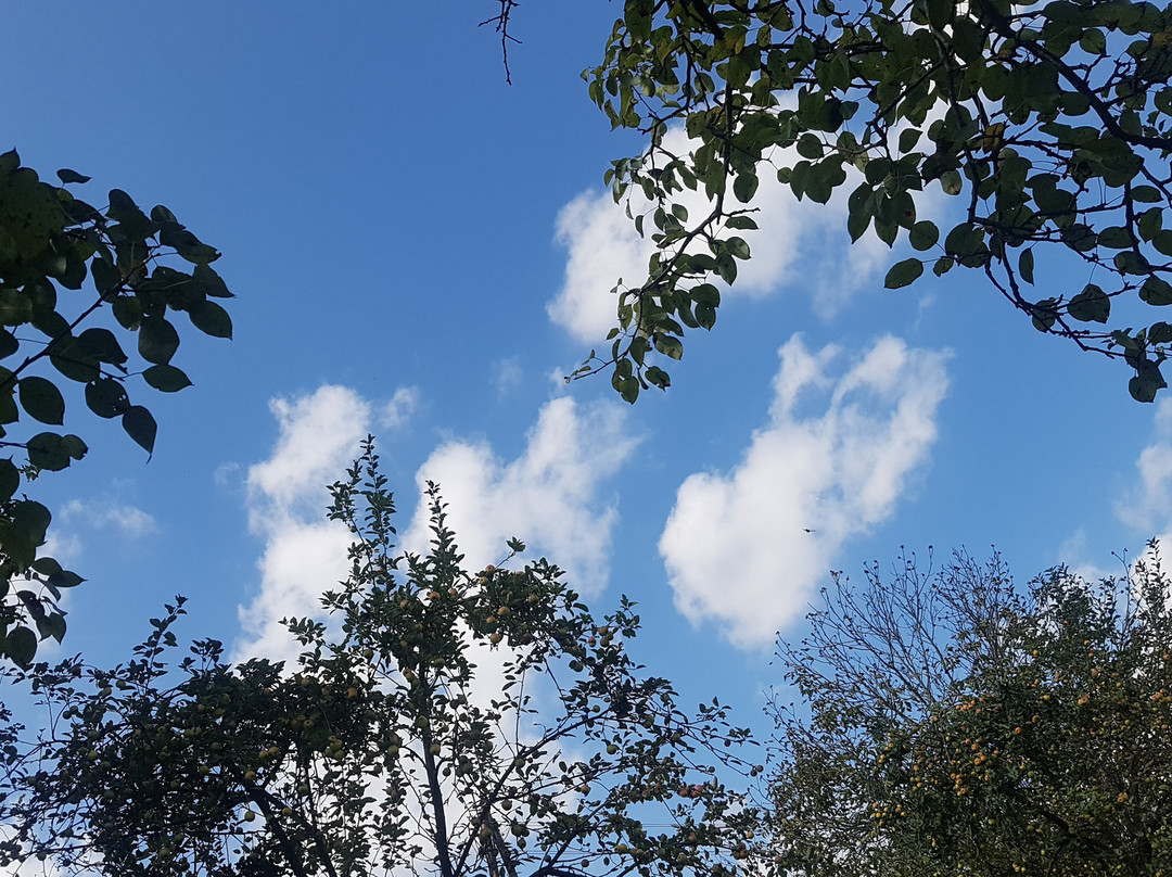 Landhaus FühlDichWohl主图