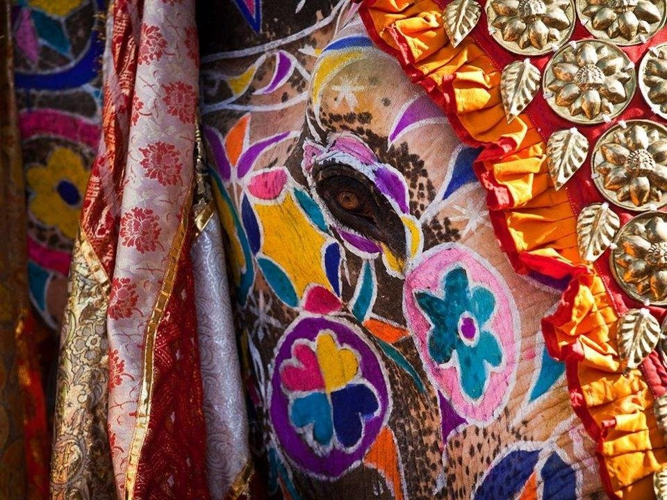 Udaipur weddings景点图片
