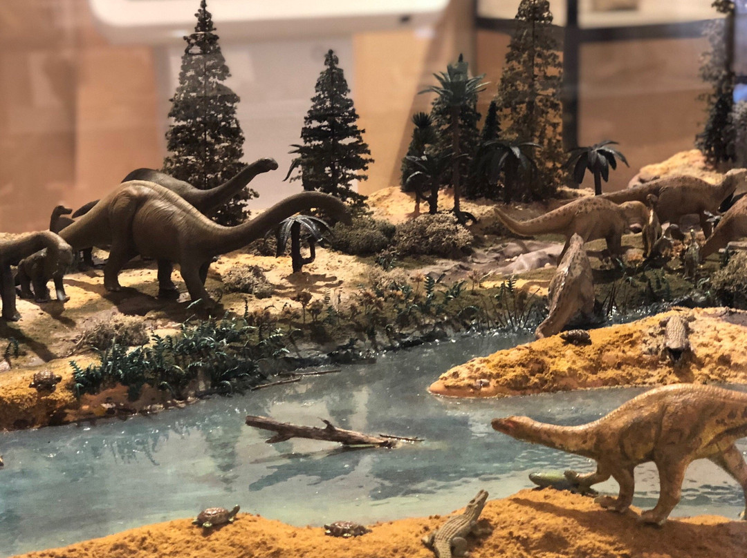 Museo de los Dinosaurios-Salas de los Infantes必去景点