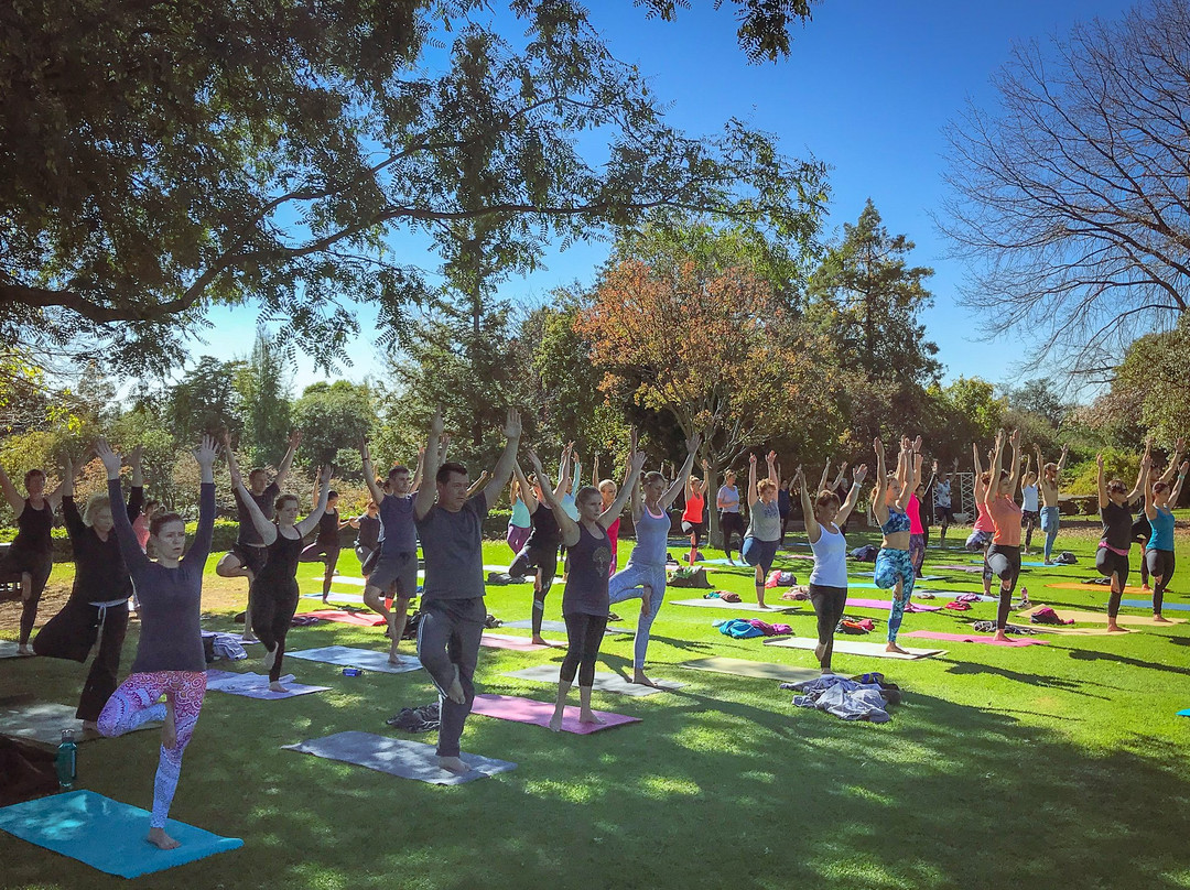 Yoga Works-约翰内斯堡必去景点