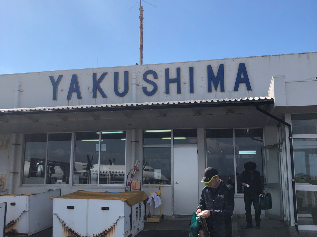 Yakushima Diving Service Mori-to-Umi景点图片