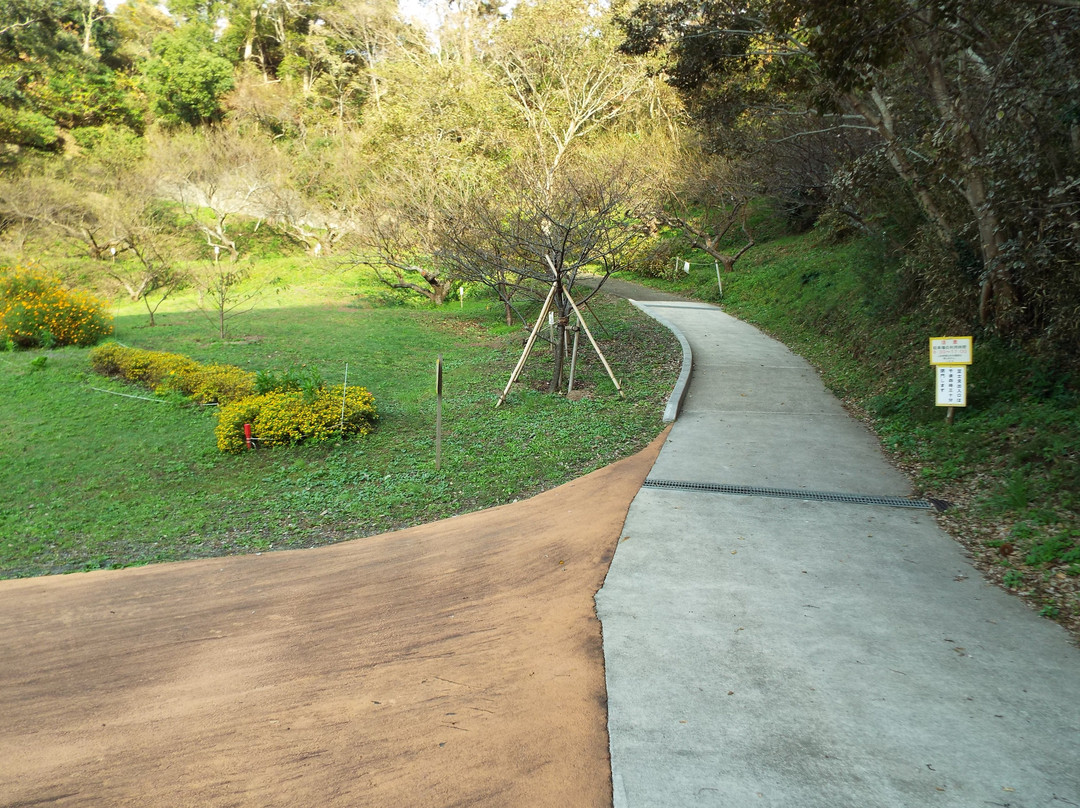 Radiant Flower Hill Park-二宫町必去景点