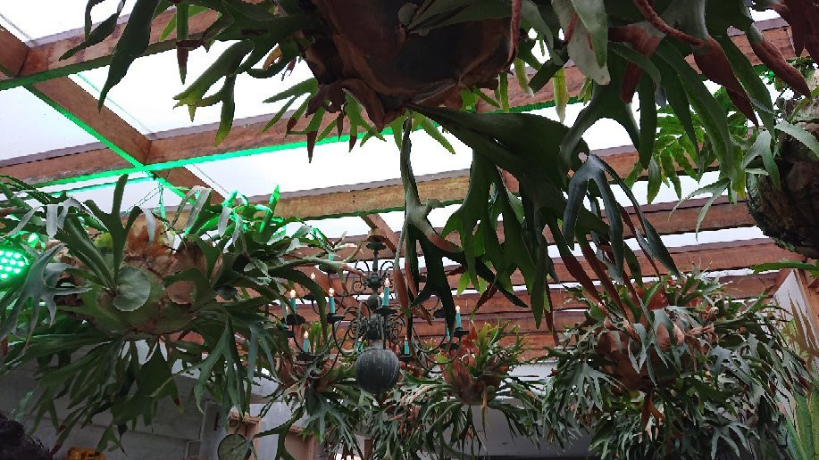 Rooftop La Cúpula-Manizales必去景点