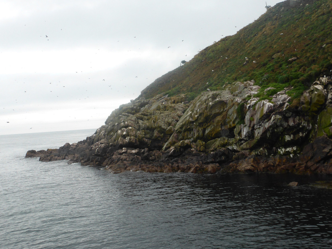 Witless Bay ecological reserve景点图片