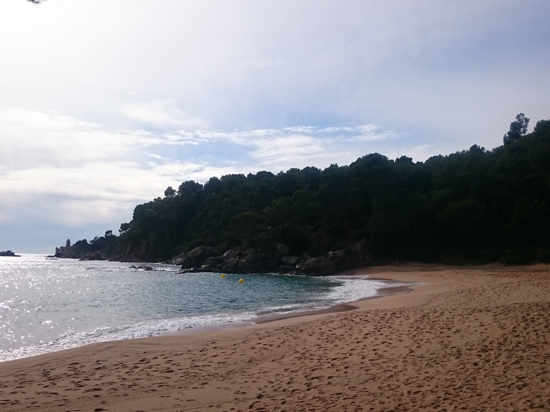 Playa de Santa Cristina景点图片