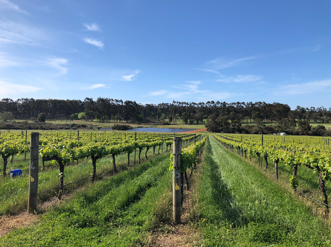 Brookwood Estate Winery景点图片