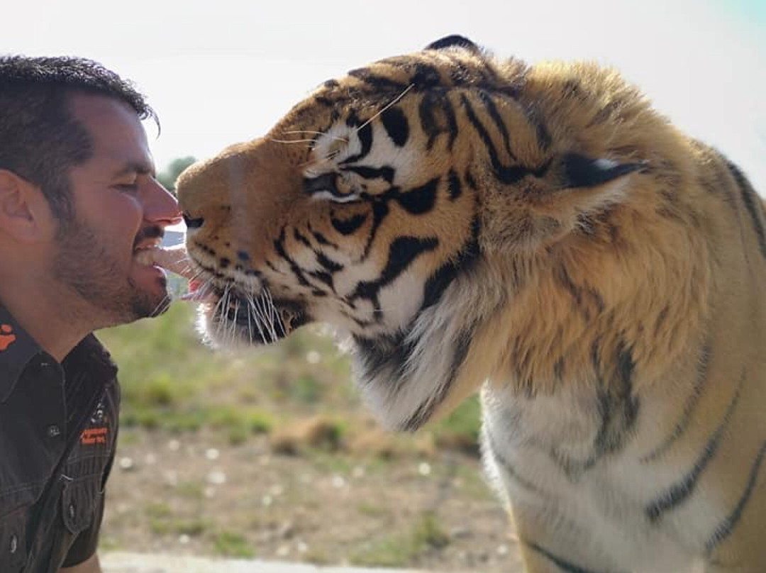 Jugomaro Predator Park 2.0-瓦尔沃特必去景点