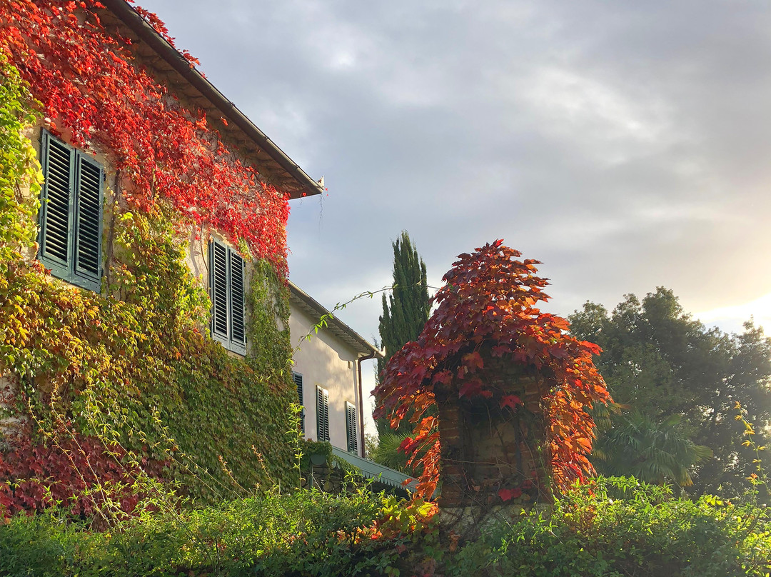 Villa Bordoni主图
