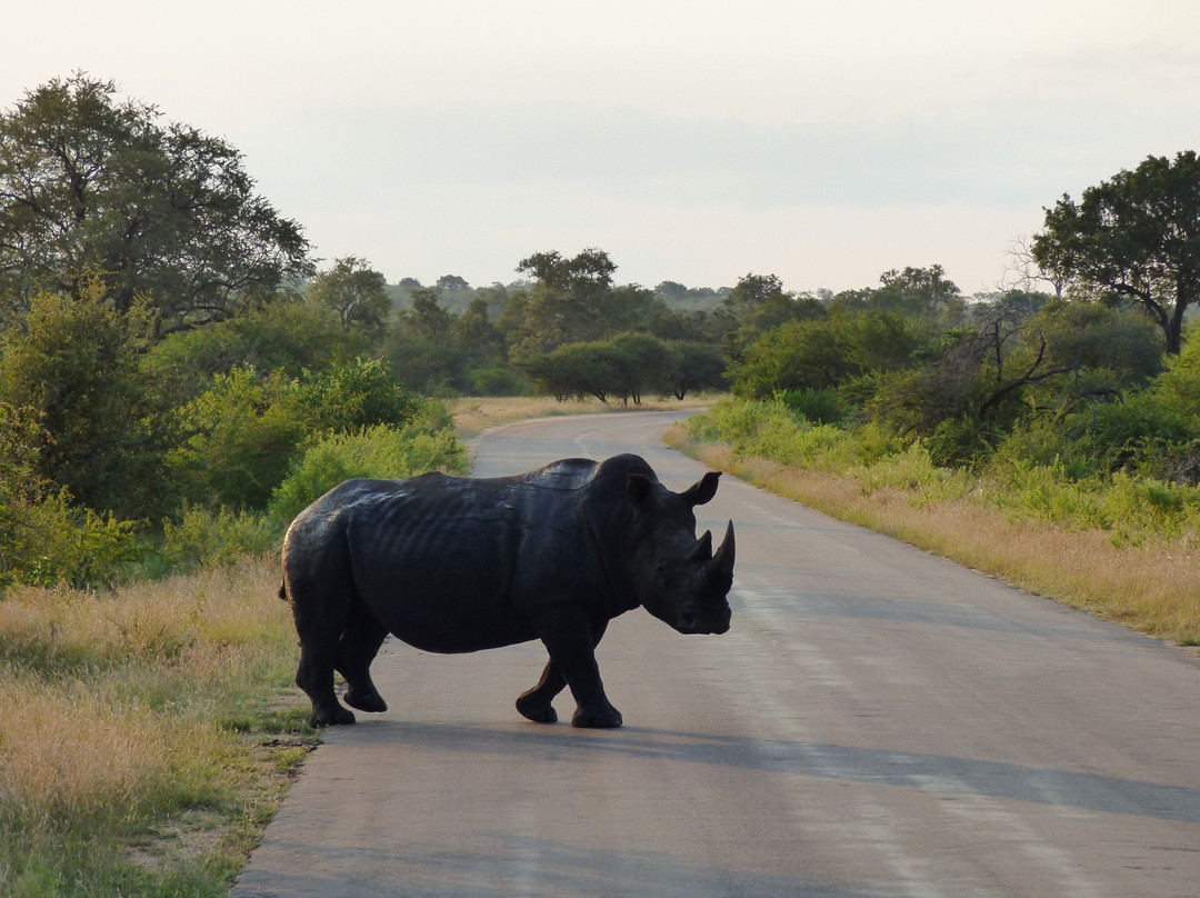 Moving On African Grounds-雾观必去景点