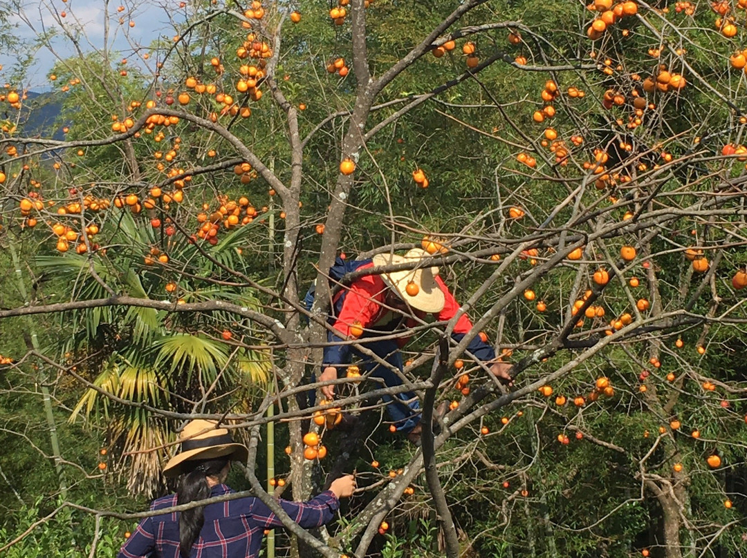 天台山景点图片