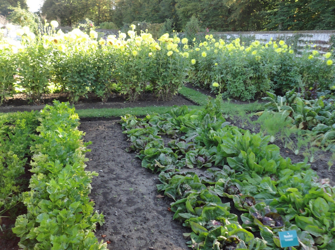 Museumtuin Van Gaasbeek景点图片