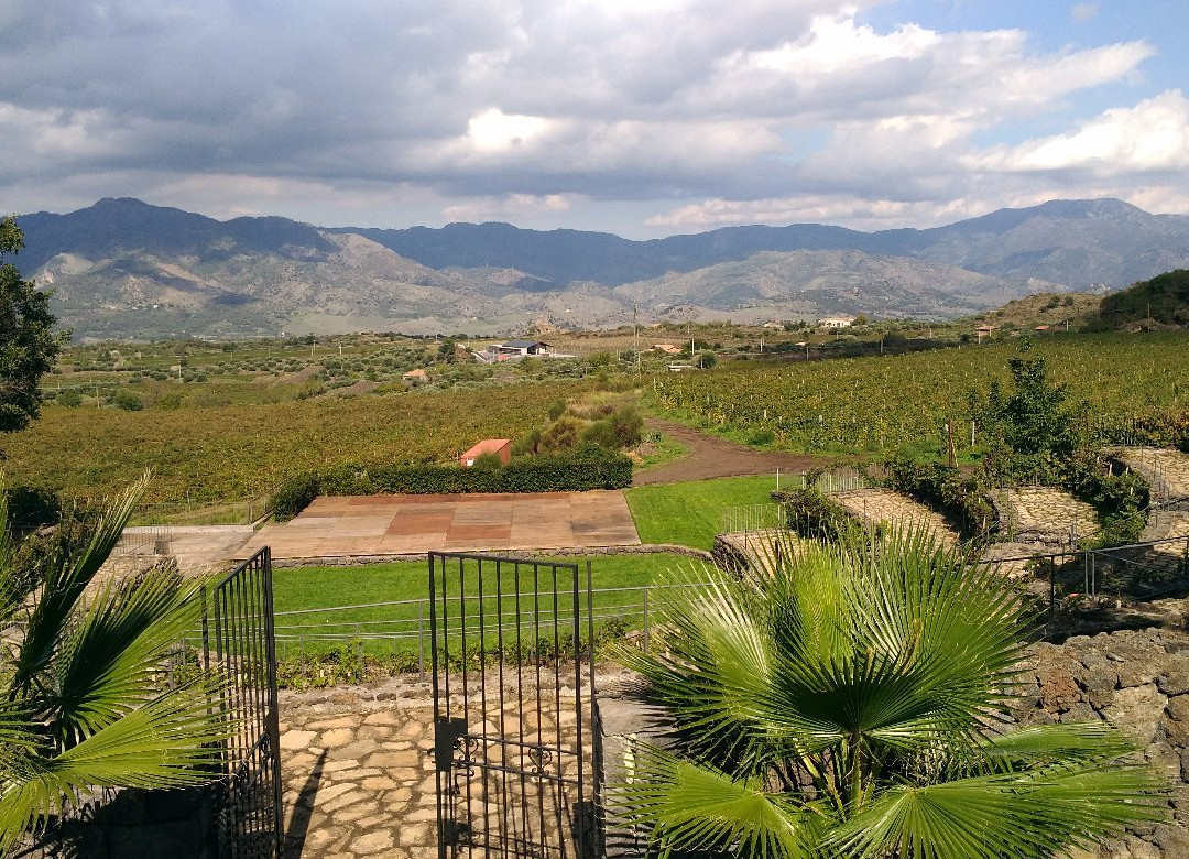 Winery Patria景点图片
