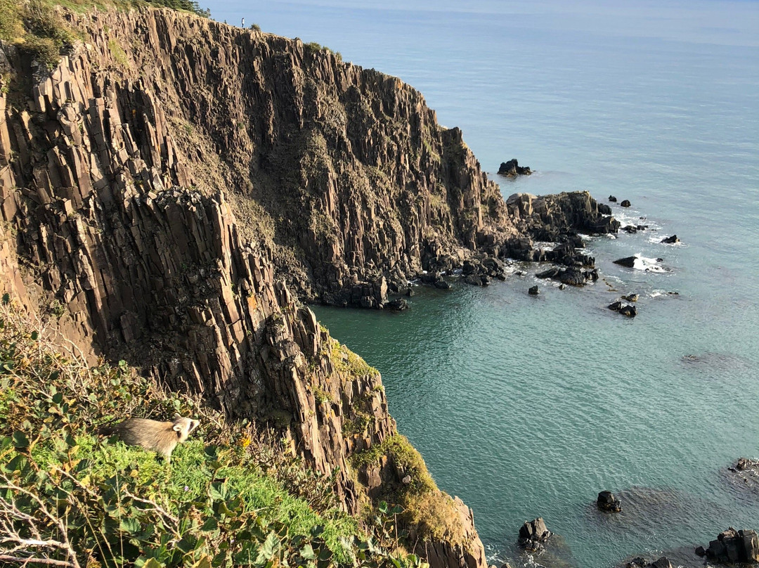 Long Eddy Point Lighthouse-North Head必去景点