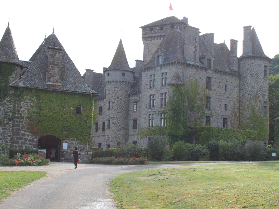 Chateau de Pesteils景点图片