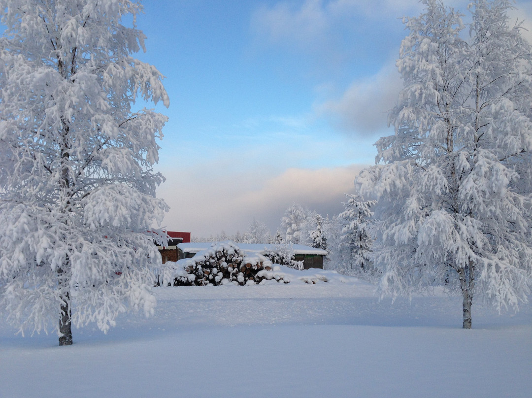 Sweden Adventure tours-Hammarstrand必去景点