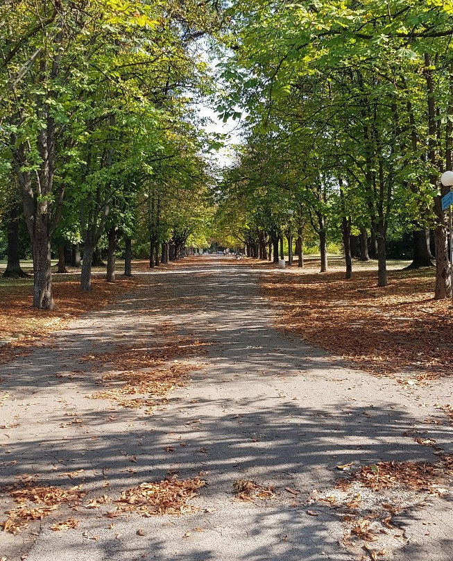 Mladezhki Park景点图片