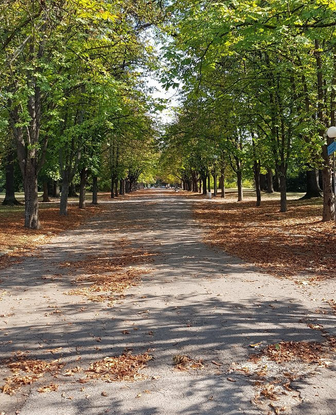 Mladezhki Park-鲁塞必去景点