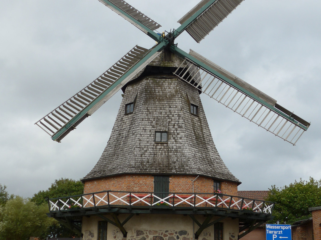 Stadtwindmühle景点图片
