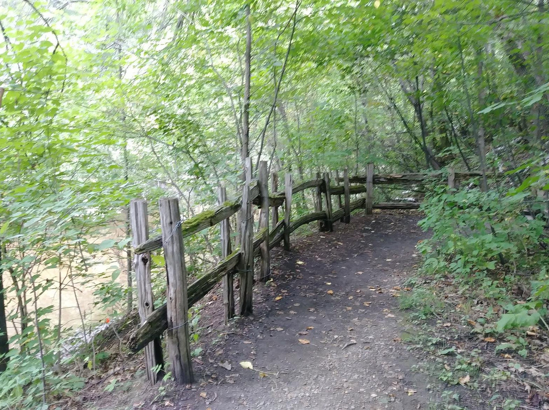 Les sentiers de la rivière du Cap Rouge景点图片