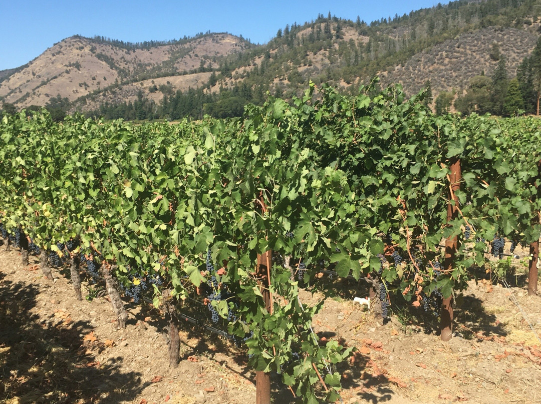 Cowhorn Vineyard & Garden-Jacksonville必去景点