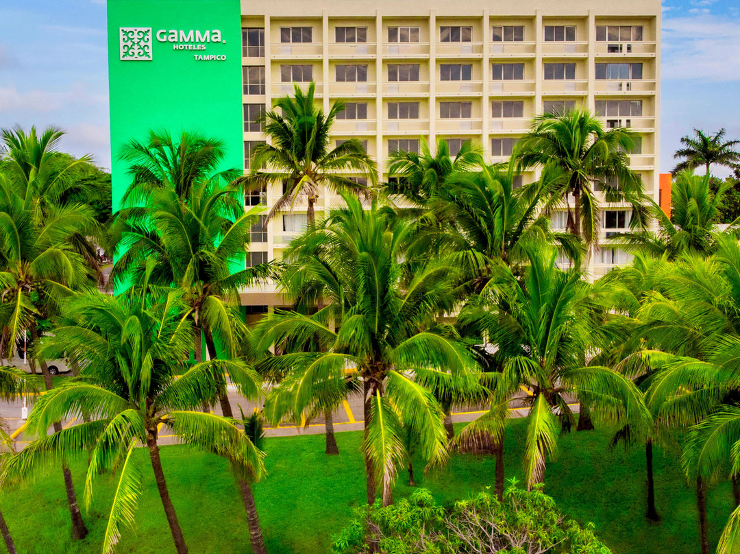 Gamma Tampico