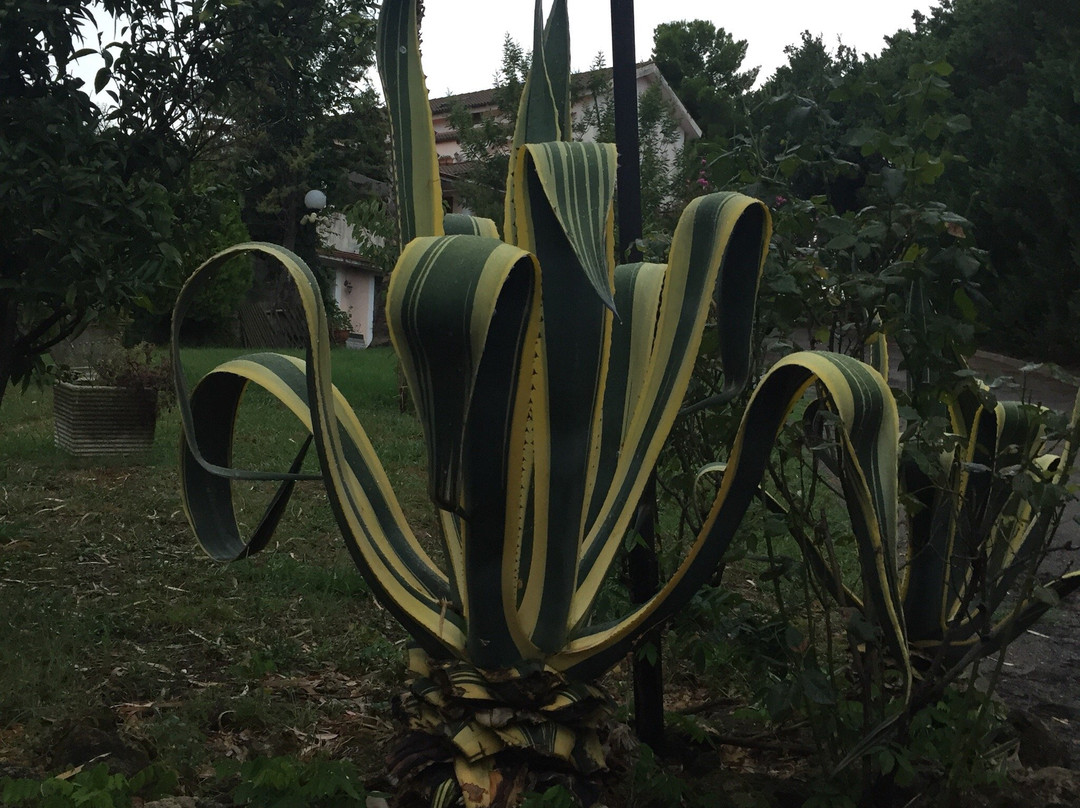 La Dimora dei 5 Sensi主图