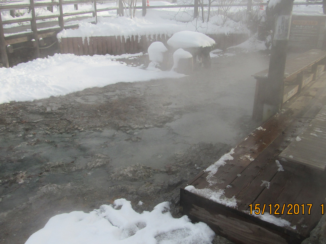 Kawayuonsengai no Ashiyu-弟子屈町必去景点