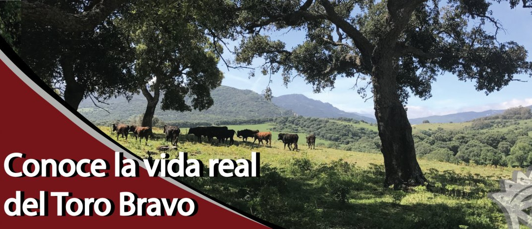 Ganaderia Gavira-Los Barrios必去景点