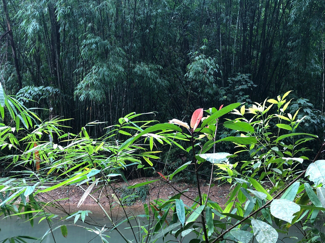 Tam Nang Waterfall景点图片