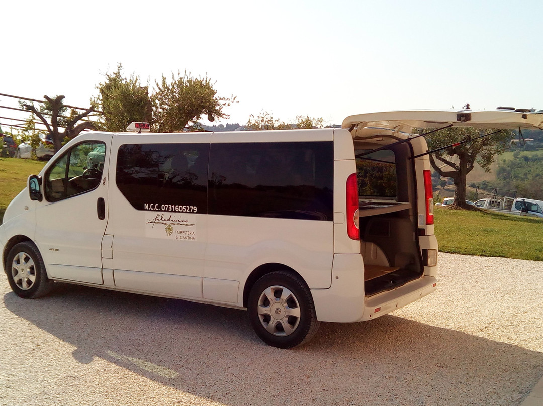 Taxi Ncc-Monsano必去景点