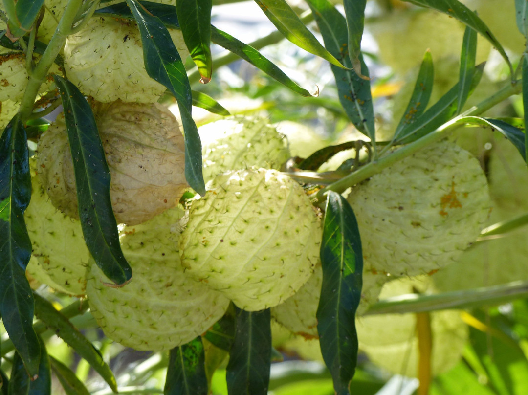 Kathrin Beach Hotel主图