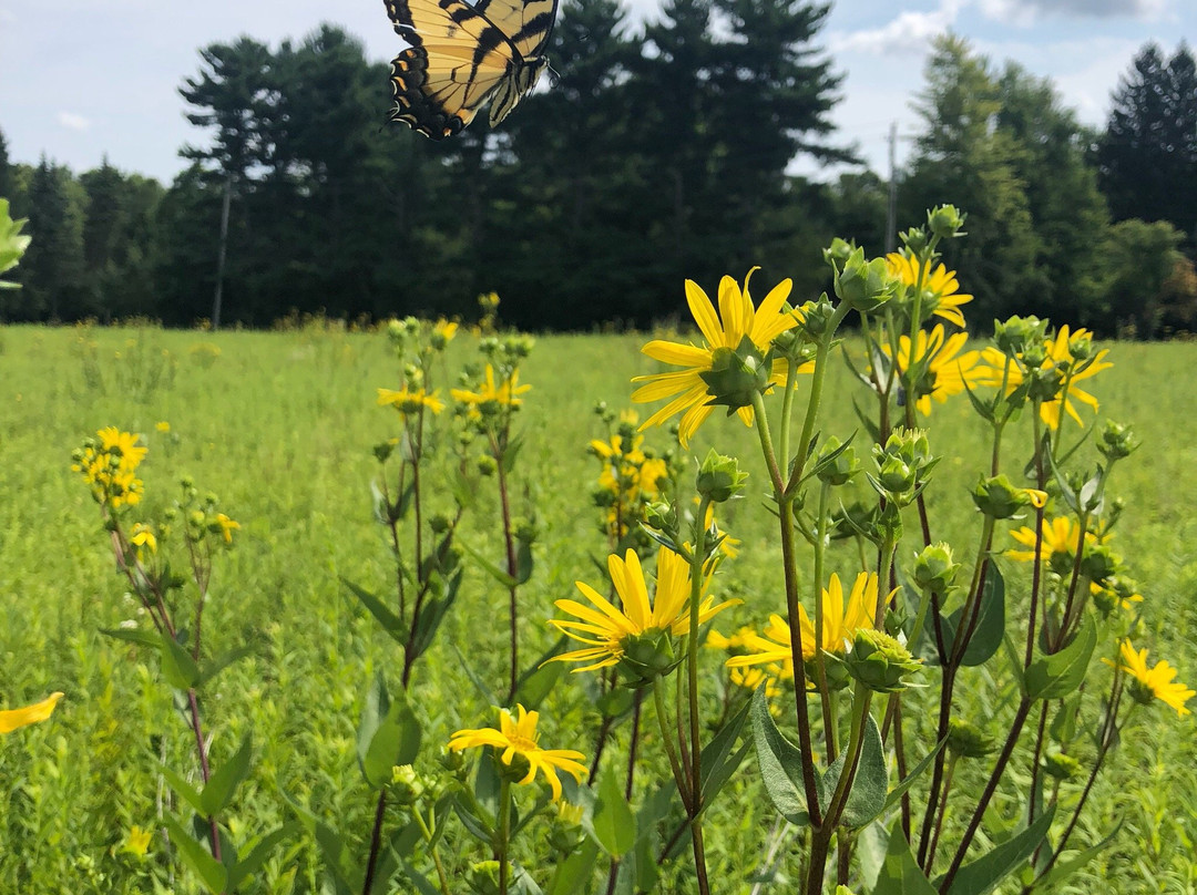 Frohring Meadows-Chagrin Falls必去景点