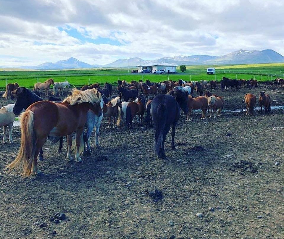 Sydra Skordugil-Varmahlid必去景点