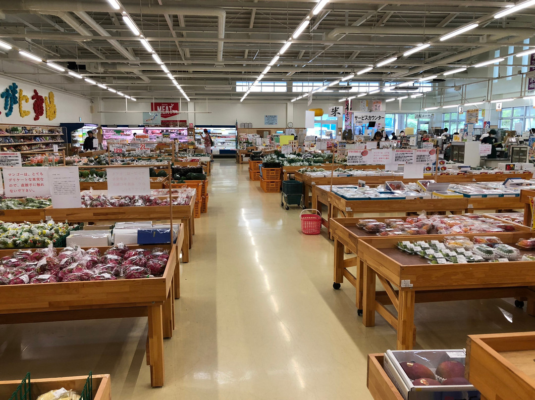 南风原町旅游攻略图片