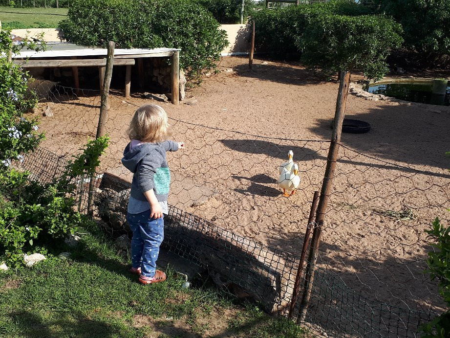 Masada Guest House主图