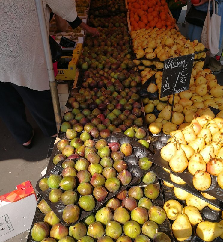 Marché du Canal Couvert-米卢斯必去景点