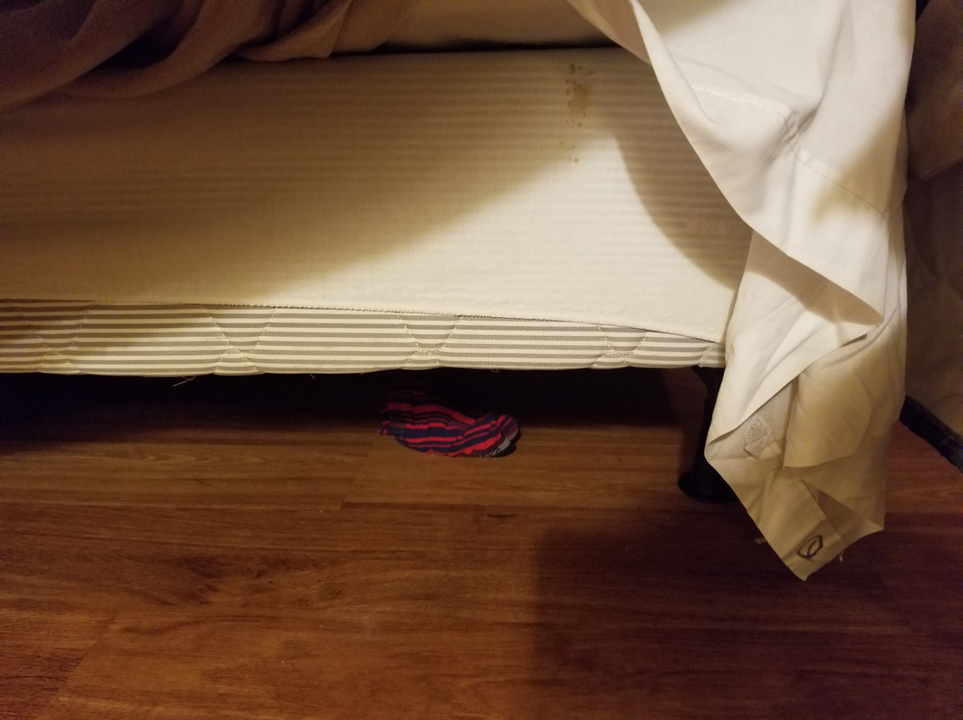 Twi-Lite Motel主图