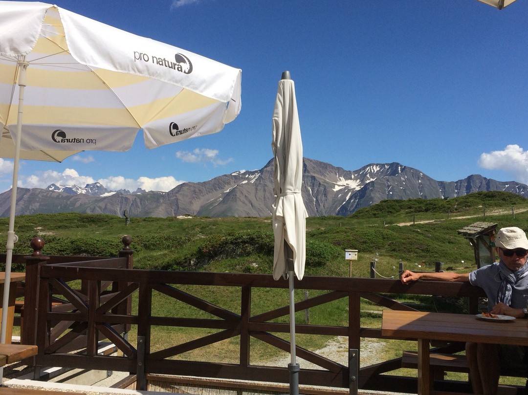 Moerel-Filet旅游景点-Villa Cassel - Pro Natura Zentrum Aletsch