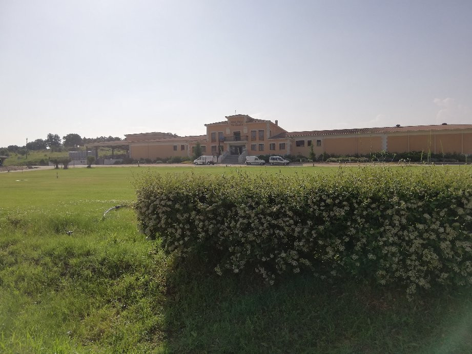 Bodega Prado Rey-Gumiel Del Mercado必去景点