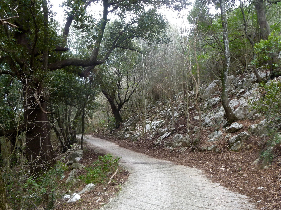 Sterrando Bike-布拉恰诺必去景点