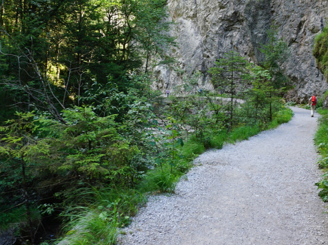 Erlebnis - Bummelbahn-尼德豪必去景点