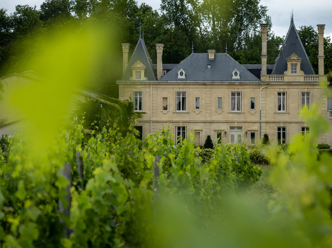 Castelnau-de-Medoc酒店住宿-Le Clos de Meyre - Chateau Meyre