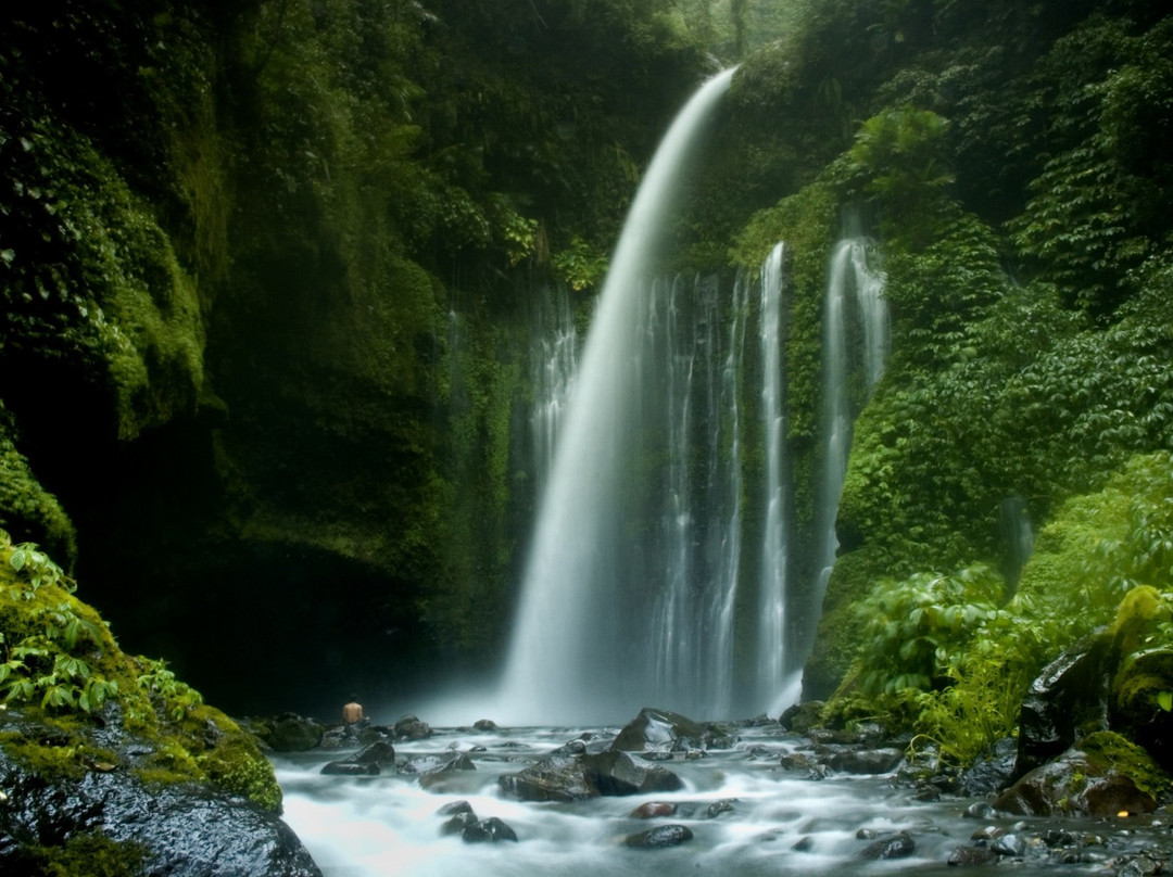 The Bale Lombok Tour-Pujut必去景点