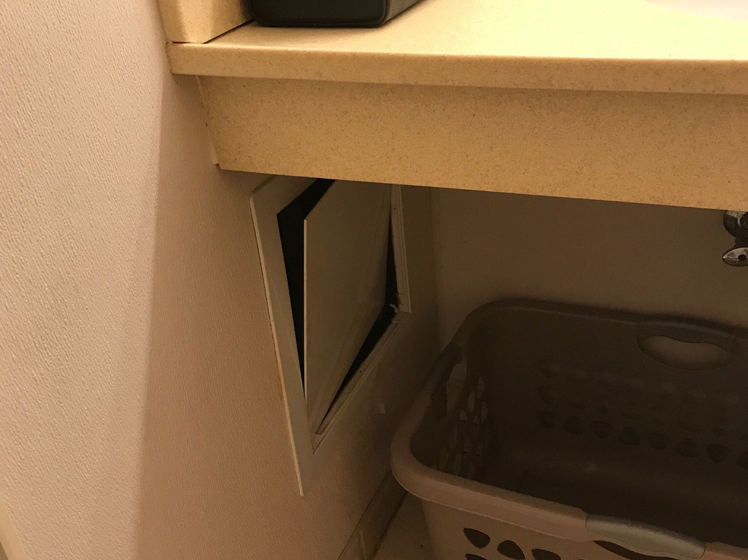 George T. Bagby State Park主图