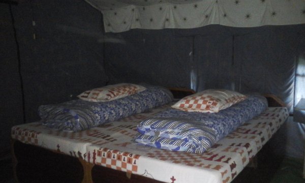 Alpine Adventure Camp-官方