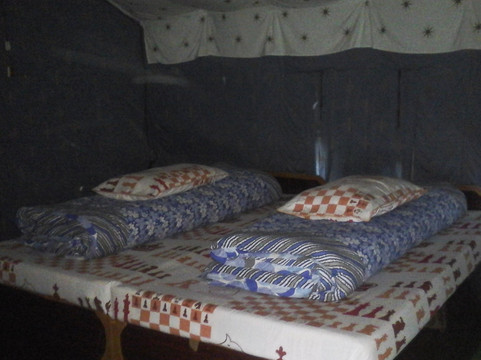 Alpine Adventure Camp主图